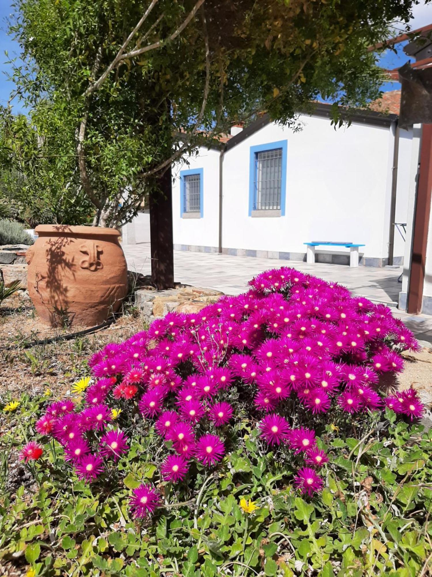 Casale Diletta Bed & Breakfast Castiadas Bagian luar foto