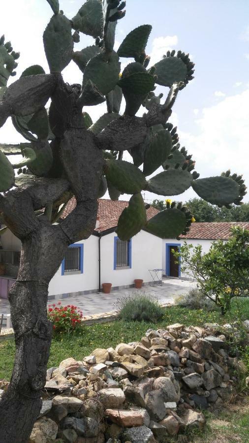 Casale Diletta Bed & Breakfast Castiadas Bagian luar foto