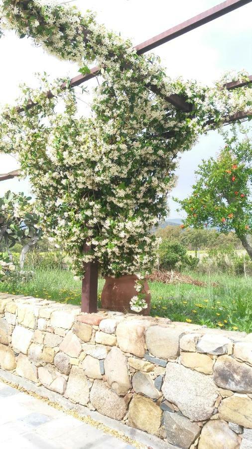 Casale Diletta Bed & Breakfast Castiadas Bagian luar foto